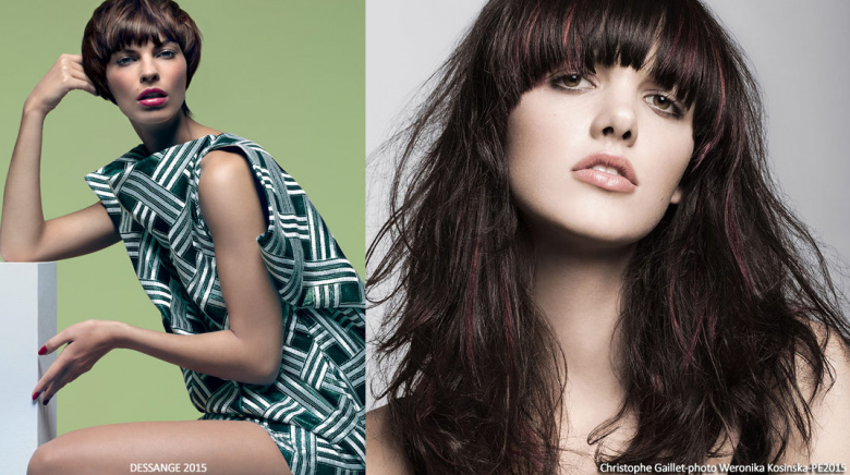 Livecoiffure Collections