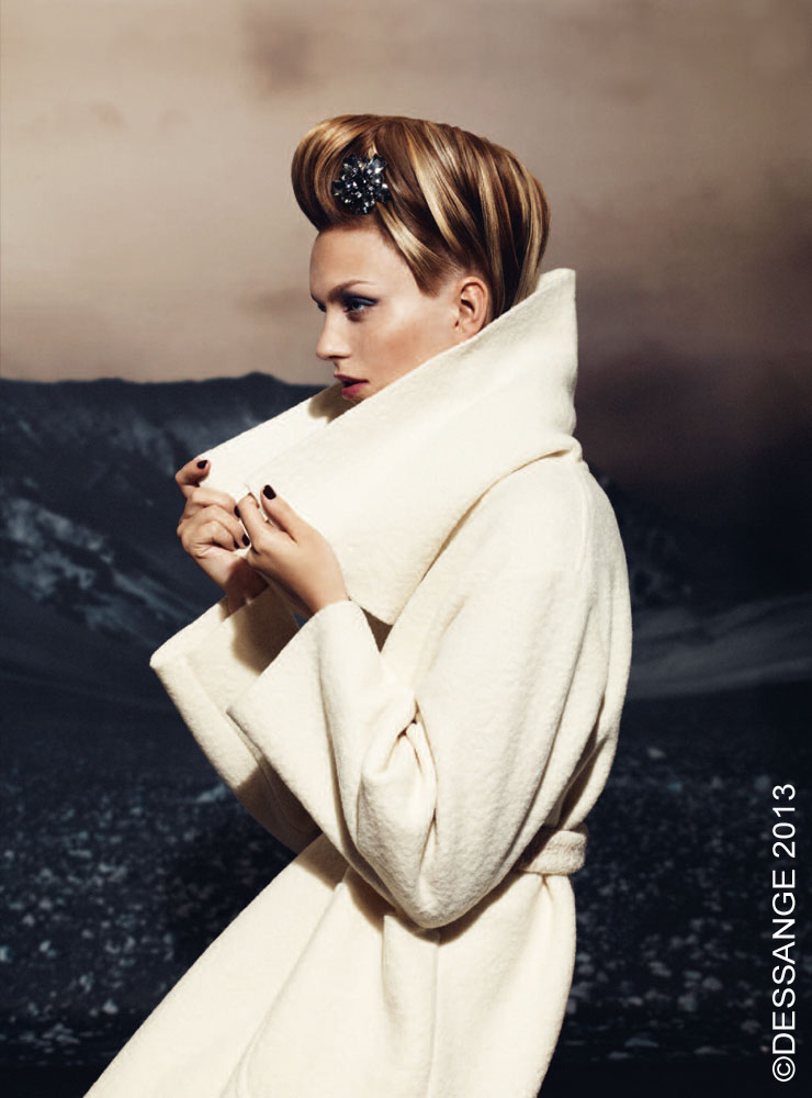 Collection DESSANGE Hiver 2013-2014