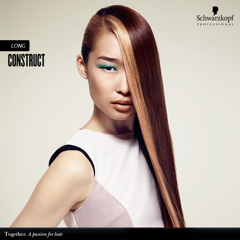 Schwarzkopf - CONSTRUCT -A/H 2013-2014