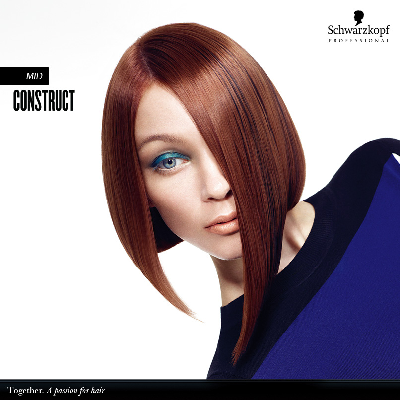 Schwarzkopf - CONSTRUCT -A/H 2013-2014