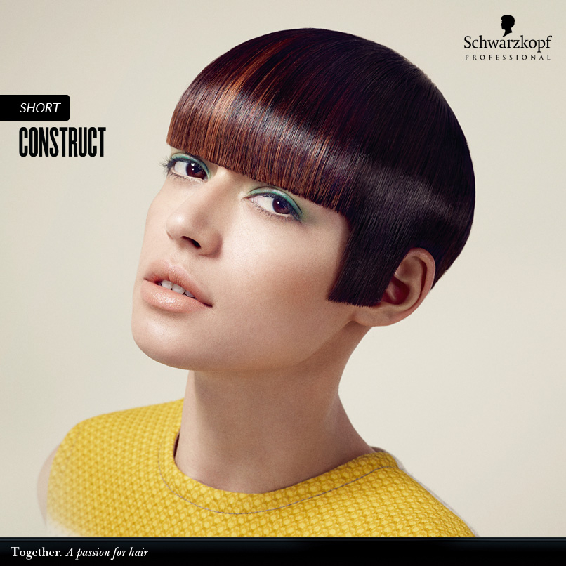 Schwarzkopf - CONSTRUCT -A/H 2013-2014