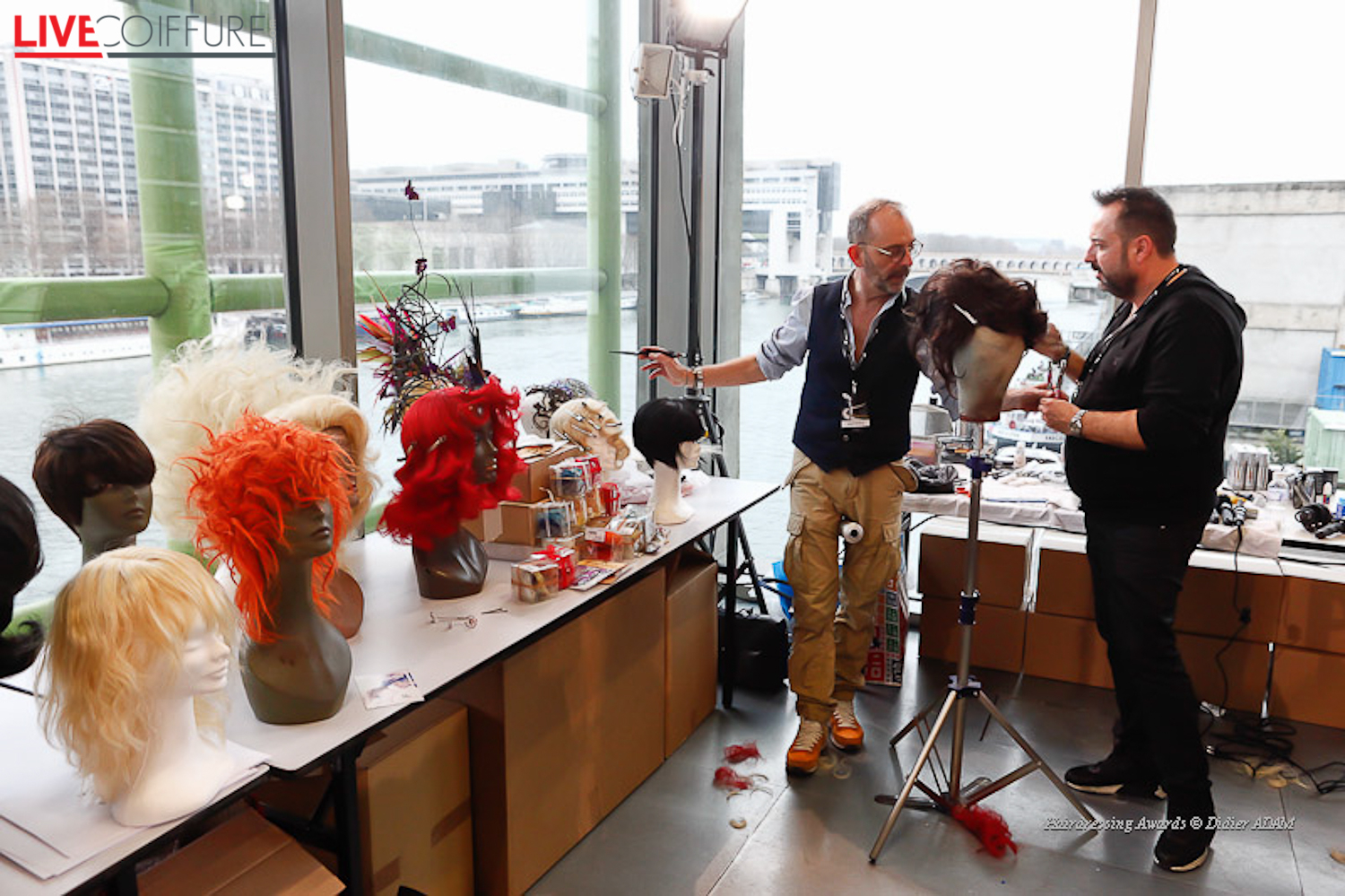 hairdressing-awards-2015-photo-didier-adam