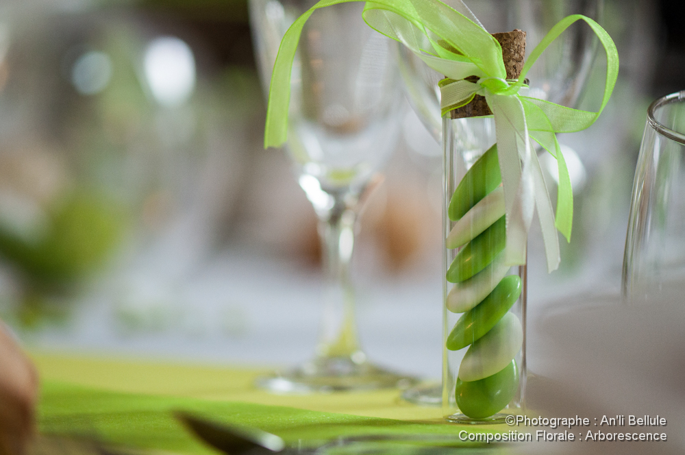 MARIAGE_Nathalie-Miguel-93