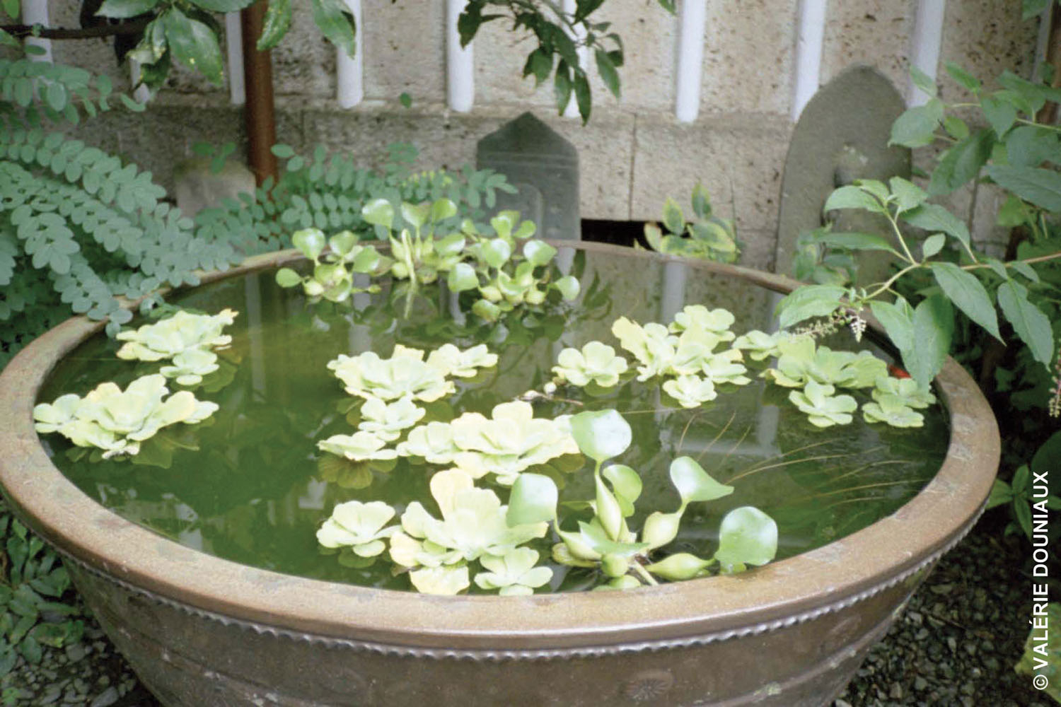 Soin KIOTO INKARAMI