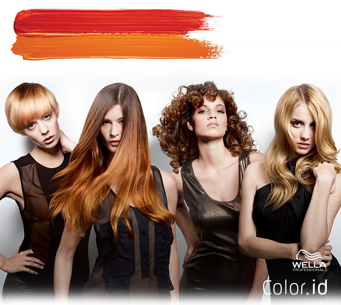 wella-id-1