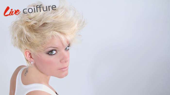 LET ‘S CUT EVERYTHING THIS  SUMMER ?