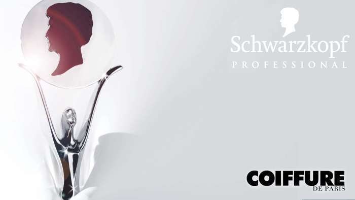 Hairdressing awards 2013: competition details