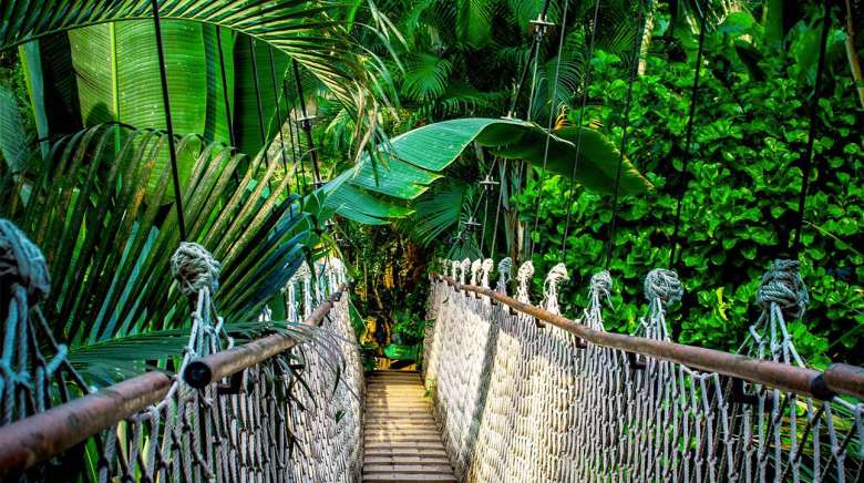 Brazilian keratin treatment and respect of the hair