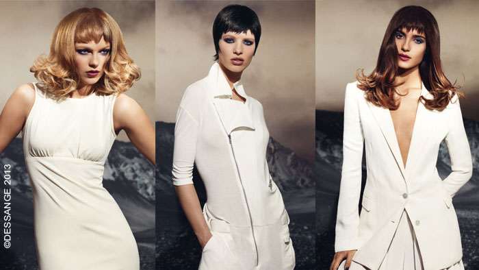 Hairstyle Collections autumn winter 2014 Dessange International