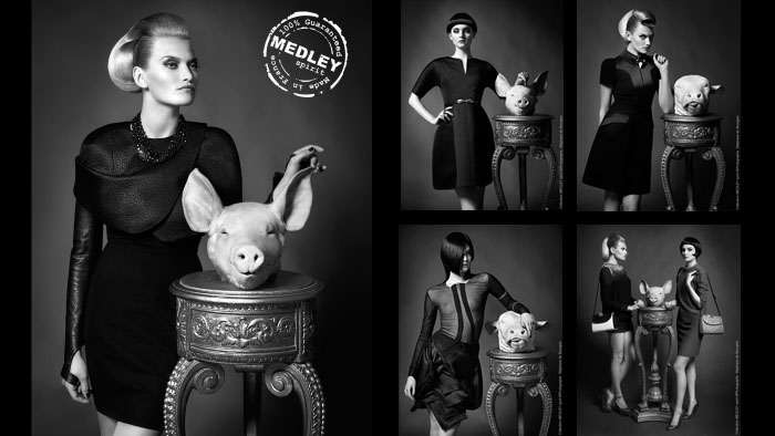 The urban fairies - MEDLEY spirit collection 2012-2013