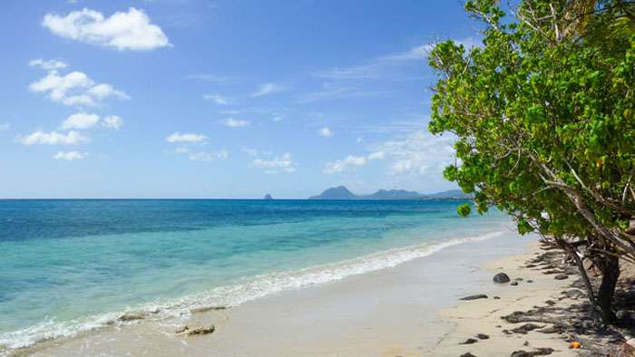 ¿Y tú, que plan tienes por el día de año nuevo?