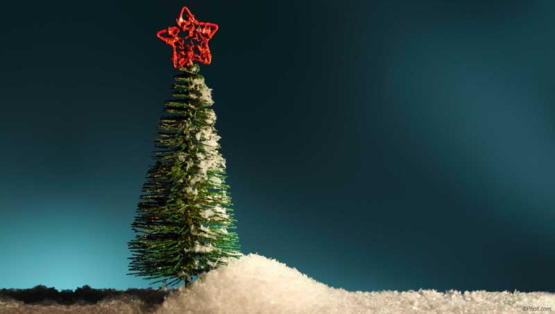 Réveillon de NOEL 2015