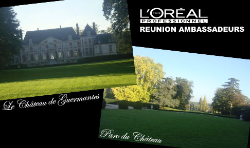 Reunión  de los peluqueros embajadores de l’Oréal 