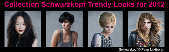 The Angels Looks collection for Schwarzkopf 