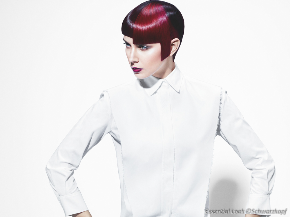 el1_2013_whiteangles_salonshort04_051