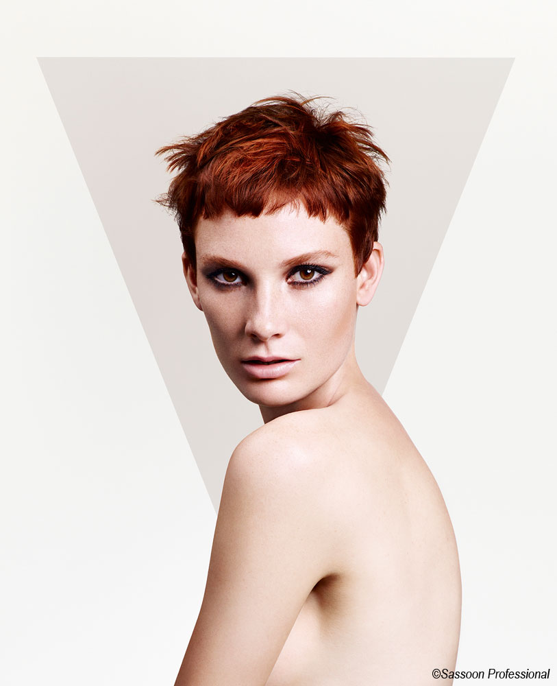 sassoon-professional-2